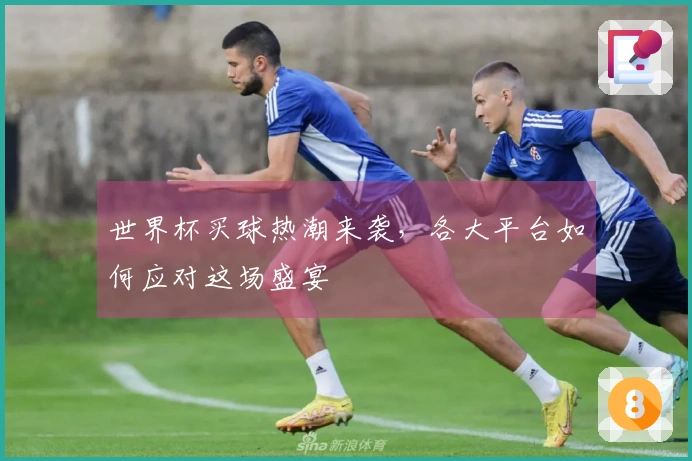 世界杯买球热潮来袭，各大平台如何应对这场盛宴
