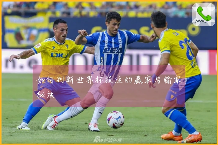 如何判断世界杯投注的赢家与输家秘诀