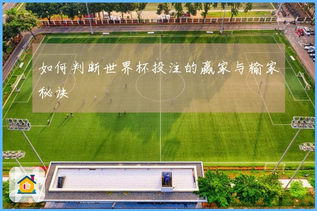如何判断世界杯投注的赢家与输家秘诀
