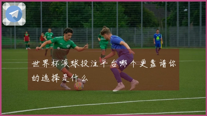 世界杯滚球投注平台哪个更靠谱你的选择是什么