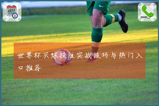 世界杯买球投注实战技巧与热门入口推荐