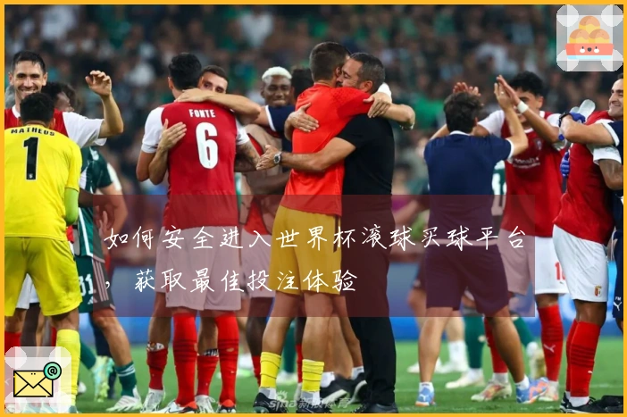 如何安全进入世界杯滚球买球平台，获取最佳投注体验