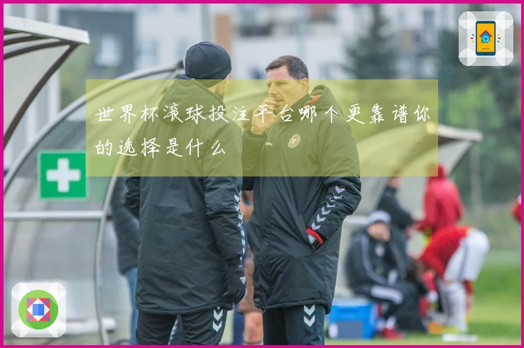 世界杯滚球投注平台哪个更靠谱你的选择是什么