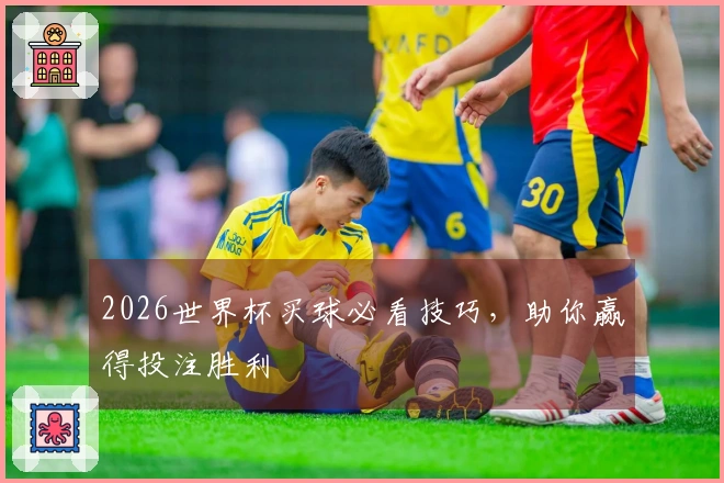 2026世界杯买球必看技巧，助你赢得投注胜利